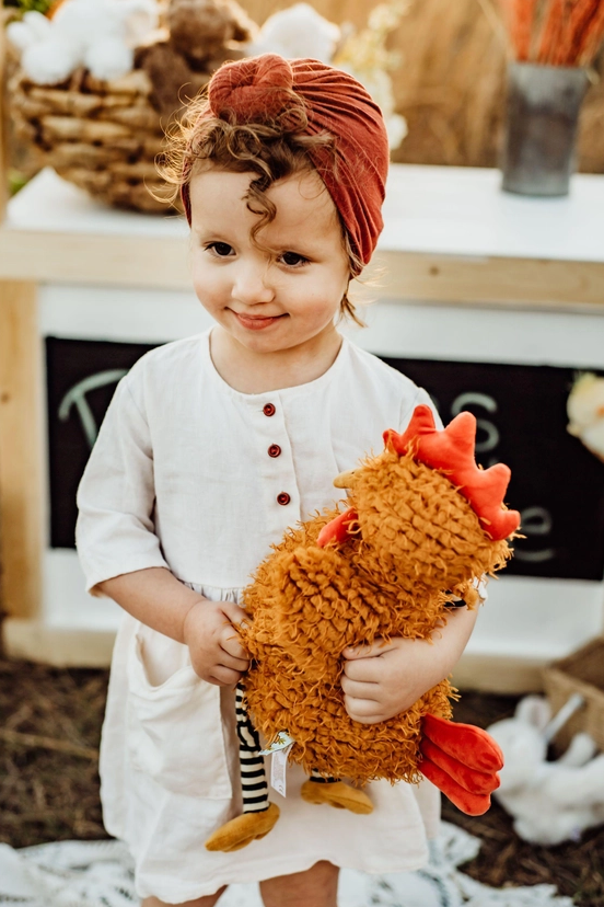 Roo the Rooster