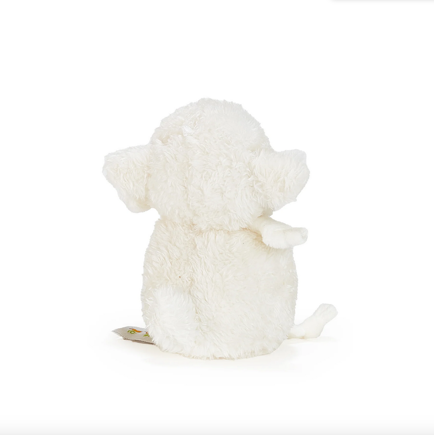 Roly Poly Lamb
