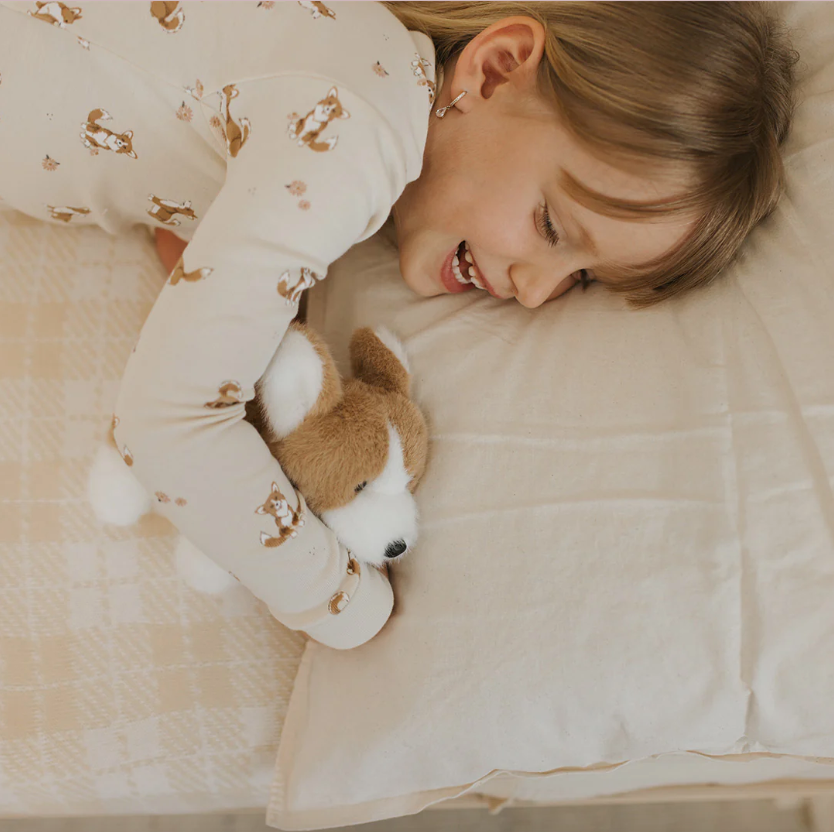 Corgi PJ Set