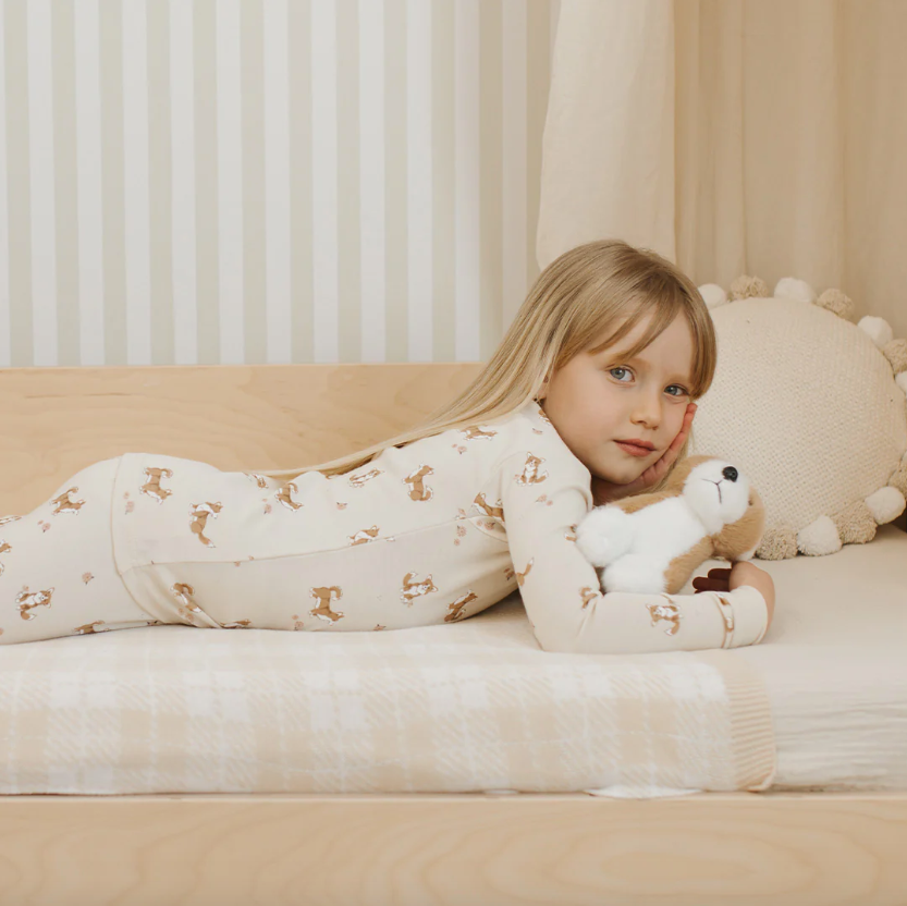Corgi PJ Set